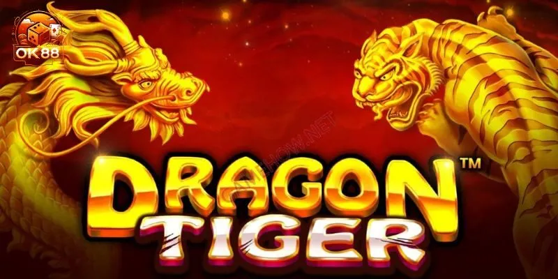 Các thuật ngữ quan trọng trong luật chơi Rồng Hổ