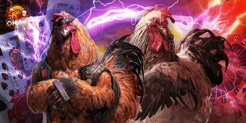 Những điểm mạnh vượt trội của đá gà OK88