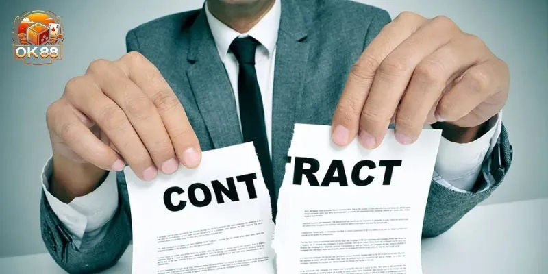 Tầm quan trọng của miễn trách nhiệm OK88