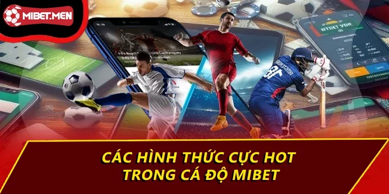 Các hình thức cực hot trong cá độ MIBET