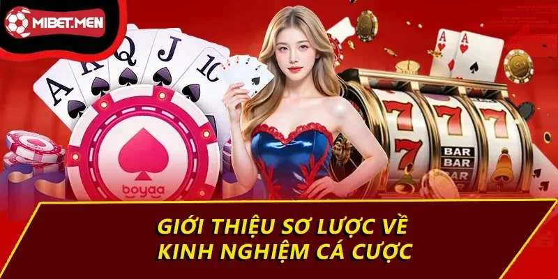 Giới thiệu sơ lược về kinh nghiệm cá cược